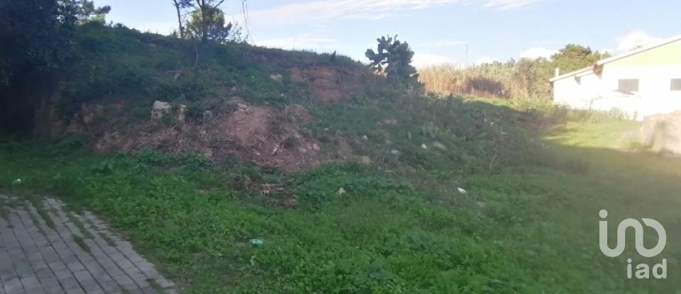 Terreno em Ericeira de 496 m²