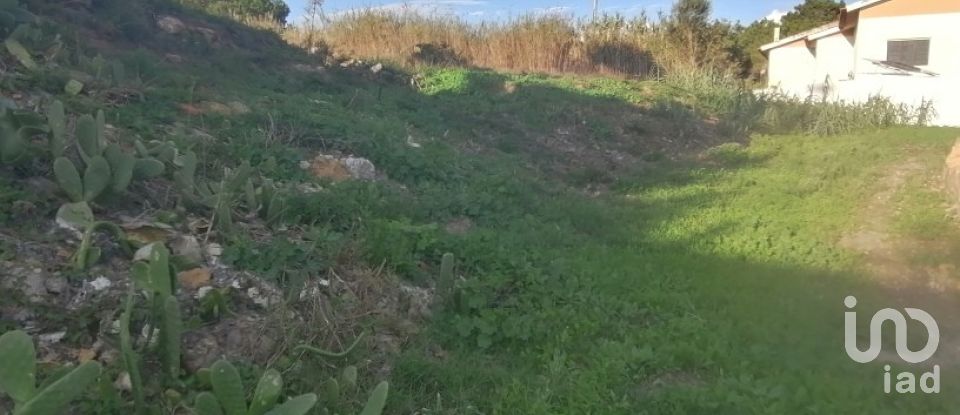 Terreno em Ericeira de 496 m²