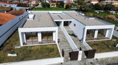 Gîte T3 à Branca de 204 m²