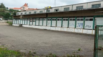 Loja / Estabelecimento Comercial em Queluz e Belas de 6 235 m²