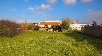 Maison traditionnelle T3 à Silveira de 200 m²