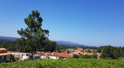 Land in Reboreda e Nogueira of 4,514 m²