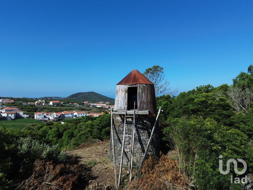 Casa / Villa T0 em Criação Velha de 70 m²