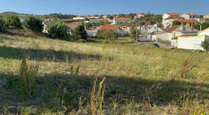 Terreno para construção em Aldeia Galega da Merceana e Aldeia Gavinha de 5 000 m²