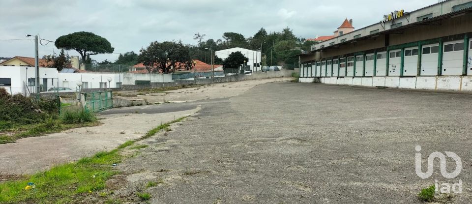 Loja / Estabelecimento Comercial em Queluz e Belas de 6 235 m²