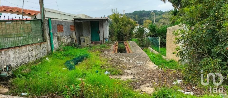 Loja / Estabelecimento Comercial em Queluz e Belas de 6 235 m²