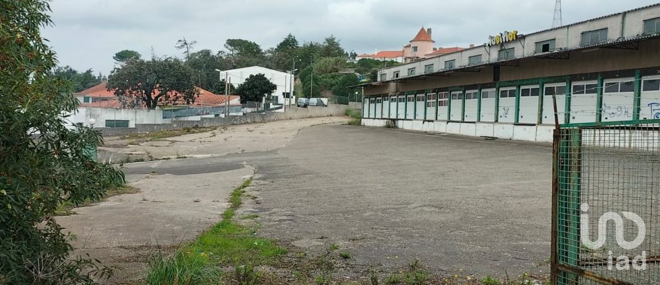 Loja / Estabelecimento Comercial em Queluz e Belas de 6 235 m²