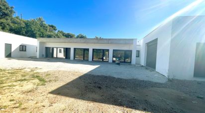 Domaine T4 à Santarém (Marvila), Santa Iria Da Ribeira De Santarém, Santarém (São Salvador) E Santarém (São Nicolau) de 508 m²