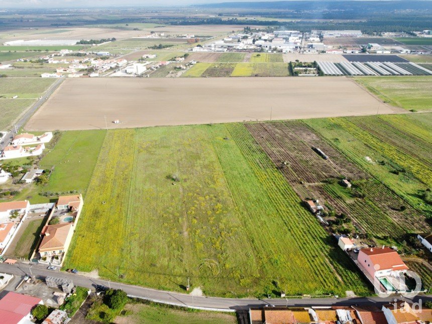 Terrain à Alpiarça de 6 080 m²