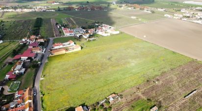 Terrain à Alpiarça de 6 080 m²