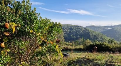 Terrain à Mafra de 5 857 m²