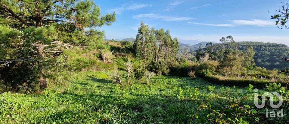 Terrain à Mafra de 5 857 m²