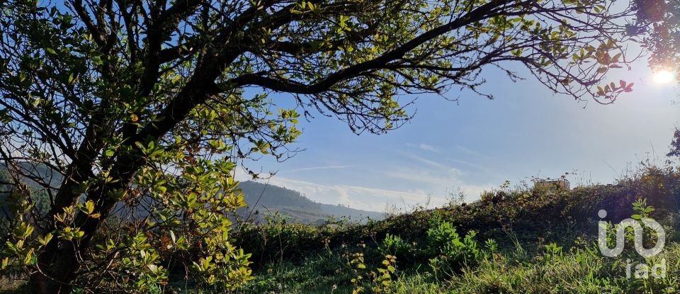 Terrain à Mafra de 5 857 m²