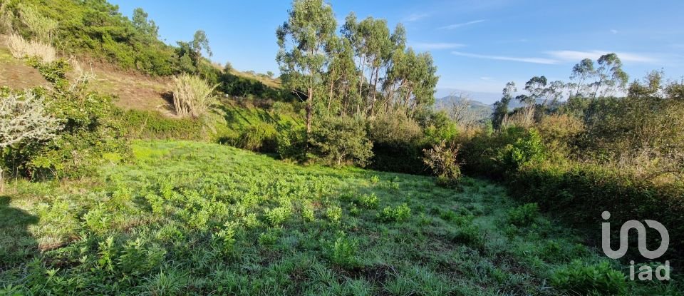 Terrain à Mafra de 5 857 m²