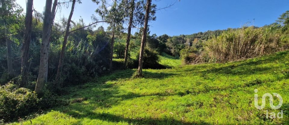 Terrain à Mafra de 5 857 m²