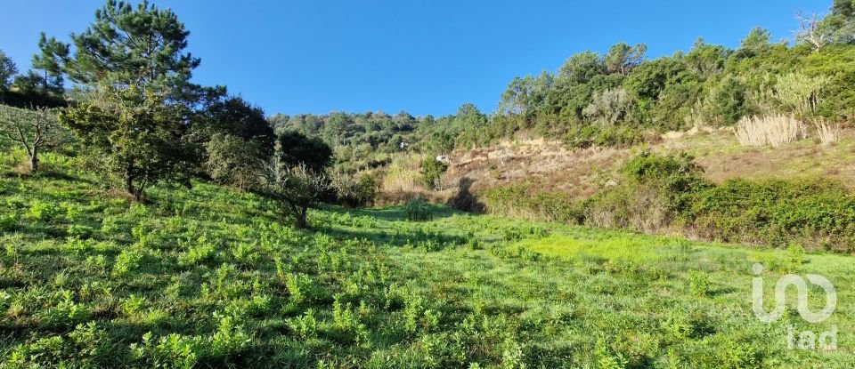 Terrain à Mafra de 5 857 m²