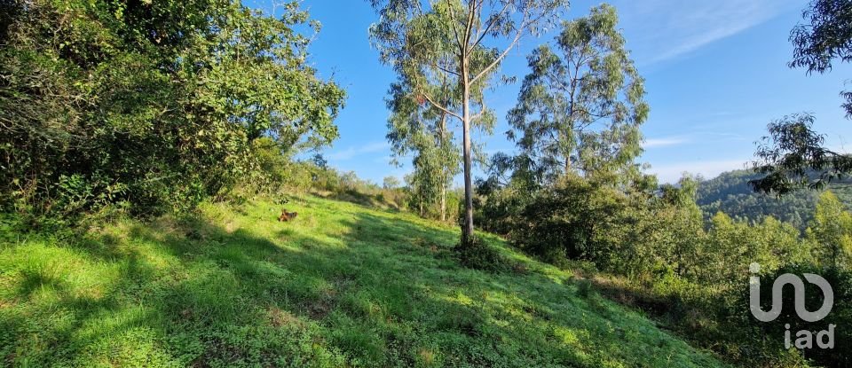 Terrain à Mafra de 5 857 m²