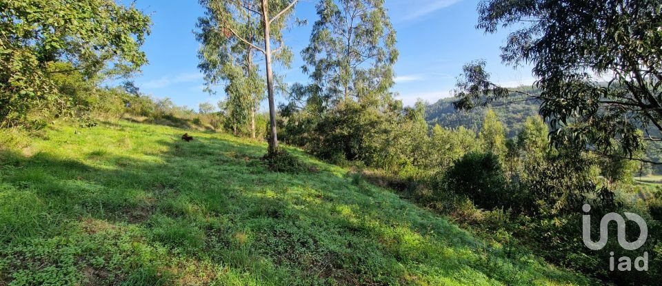 Terrain à Mafra de 5 857 m²