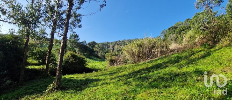 Terrain à Mafra de 5 857 m²