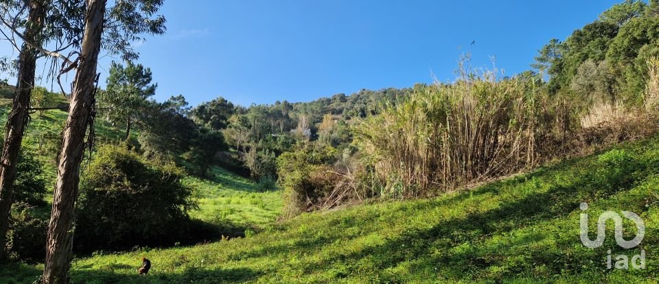 Terrain à Mafra de 5 857 m²