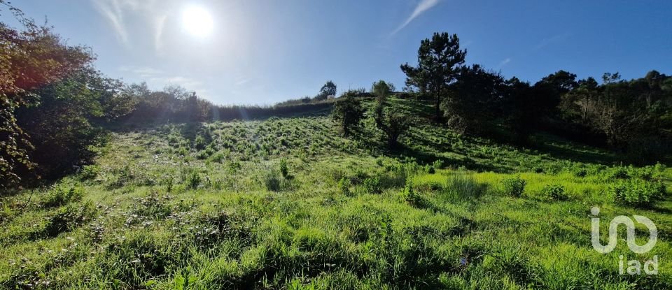 Terrain à Mafra de 5 857 m²