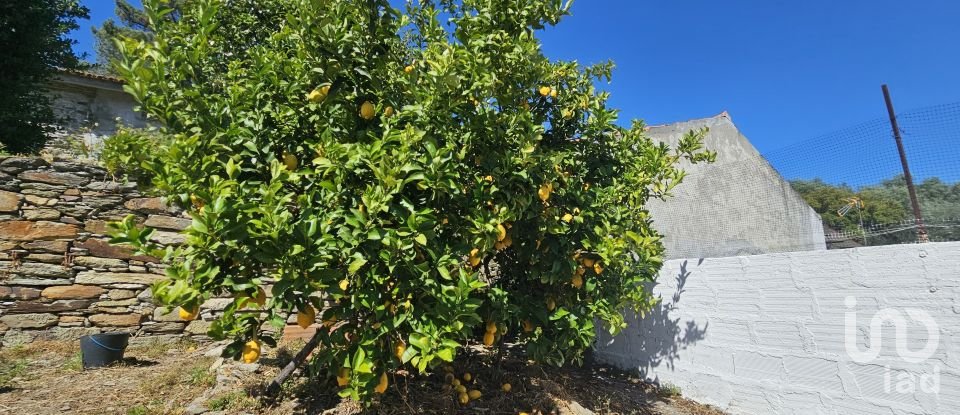 Terreno em Castedo e Cotas de 1 300 m²