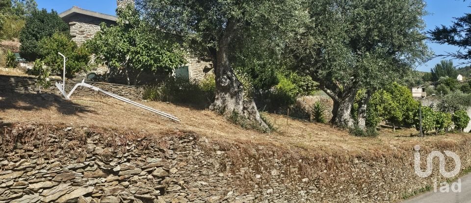 Terreno em Castedo e Cotas de 1 300 m²