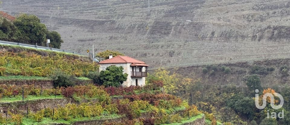 Quinta T1 em Tabuaço de 108 m²