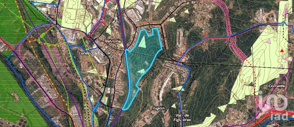 Terreno em Eiras E São Paulo De Frades de 15 300 m²