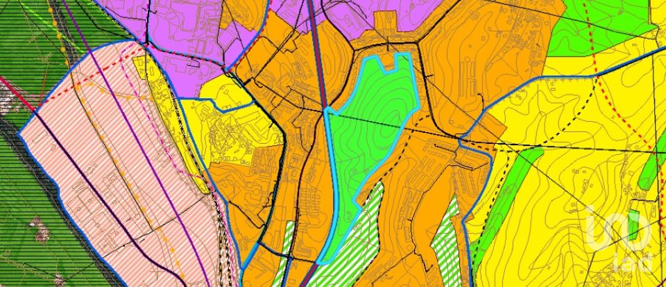 Terreno em Eiras E São Paulo De Frades de 15 300 m²