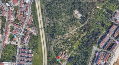 Terreno em Eiras E São Paulo De Frades de 15 300 m²