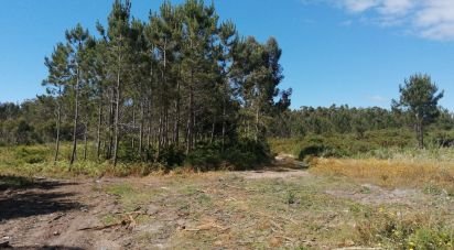 Terreno em Caldas da Rainha - Santo Onofre e Serra do Bouro de 33 200 m²