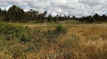 Terreno em Caldas da Rainha - Santo Onofre e Serra do Bouro de 33 200 m²