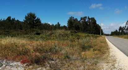 Terreno em Caldas da Rainha - Santo Onofre e Serra do Bouro de 33 200 m²