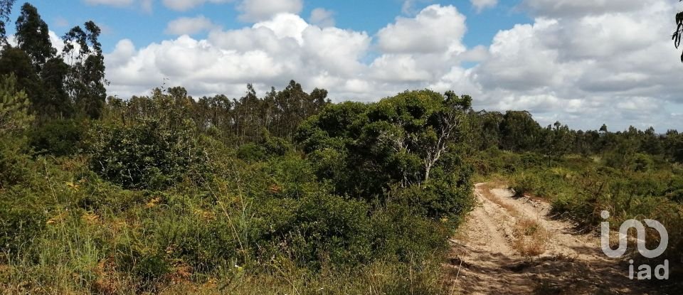 Land in Caldas da Rainha - Santo Onofre e Serra do Bouro of 33,200 m²