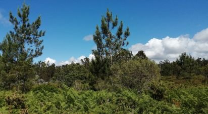 Terreno em Caldas da Rainha - Santo Onofre e Serra do Bouro de 33 200 m²