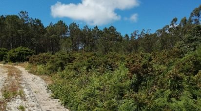 Terreno em Caldas da Rainha - Santo Onofre e Serra do Bouro de 33 200 m²