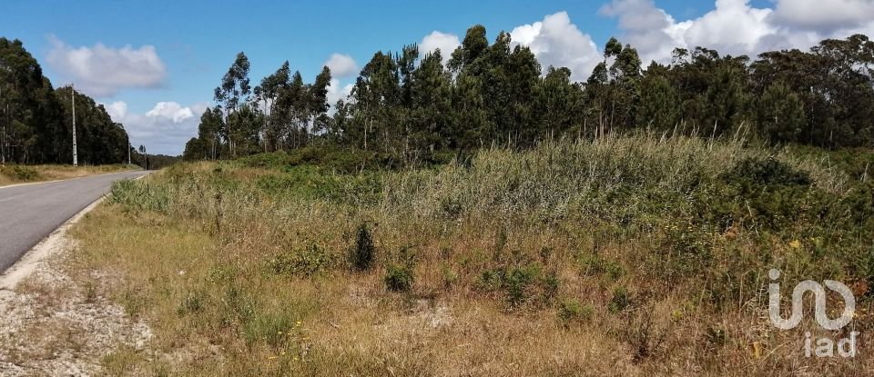 Land in Caldas da Rainha - Santo Onofre e Serra do Bouro of 33,200 m²