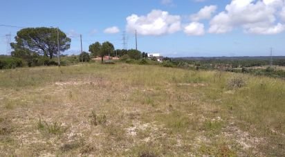 Building land in Maiorca of 1,799 m²