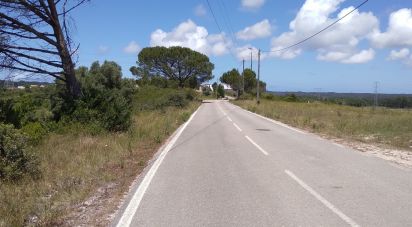 Building land in Maiorca of 1,799 m²