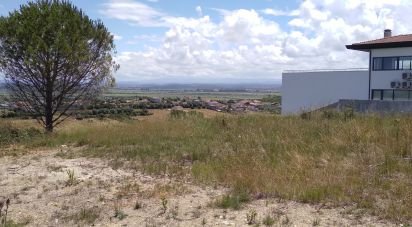 Building land in Maiorca of 1,799 m²