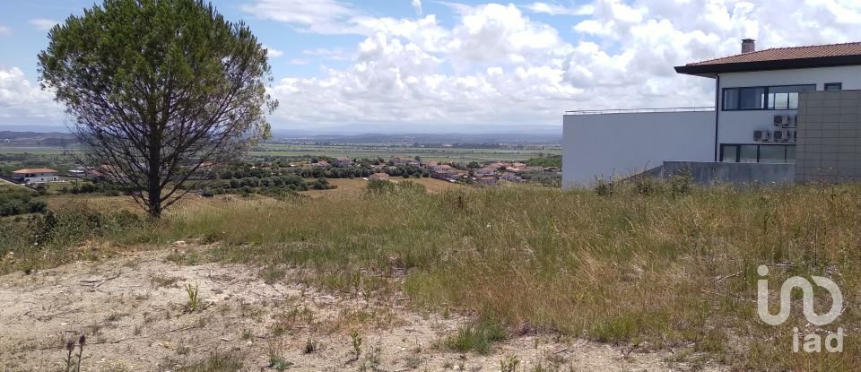 Building land in Maiorca of 1,799 m²