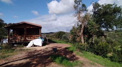 Terrain à Barão de São Miguel de 14 840 m²