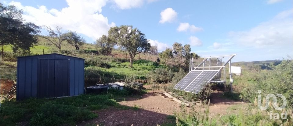 Terrain à Barão de São Miguel de 14 840 m²