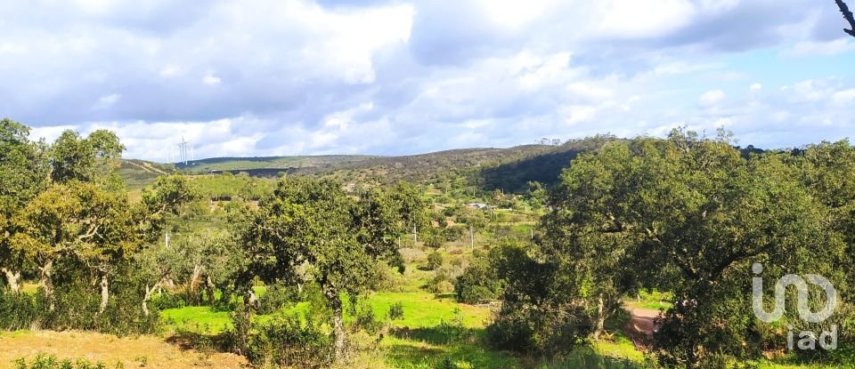 Terrain à Barão de São Miguel de 14 840 m²