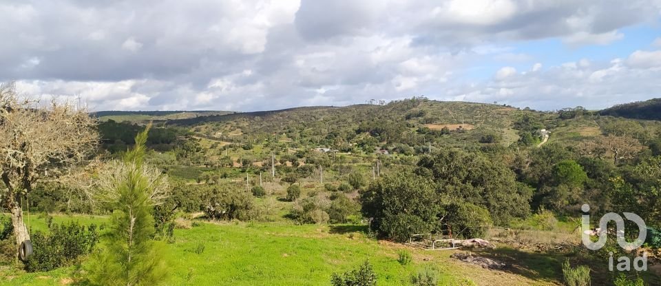 Terrain à Barão de São Miguel de 14 840 m²