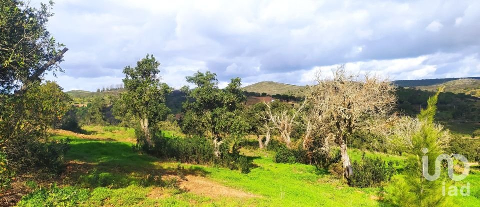 Terrain à Barão de São Miguel de 14 840 m²