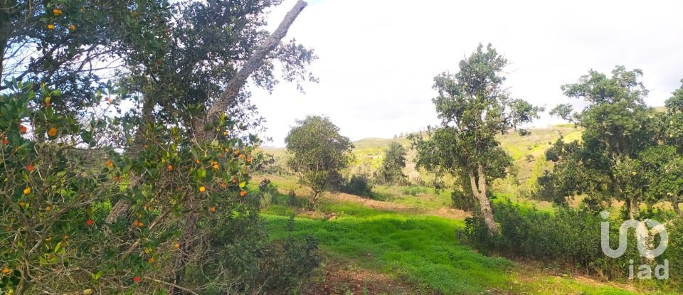 Terrain à Barão de São Miguel de 14 840 m²