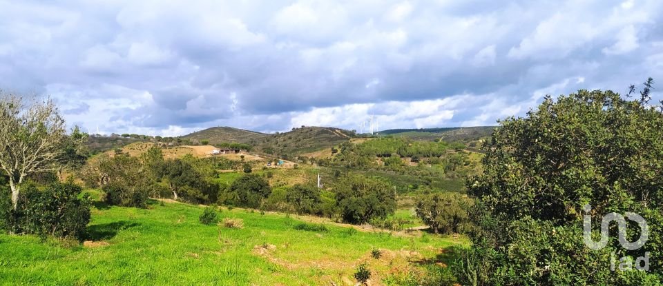 Terrain à Barão de São Miguel de 14 840 m²