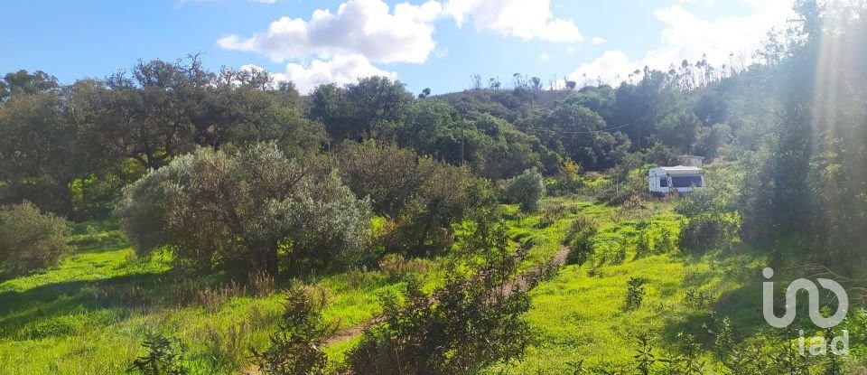 Terrain à Barão de São Miguel de 14 840 m²